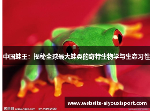 中国蛙王：揭秘全球最大蛙类的奇特生物学与生态习性