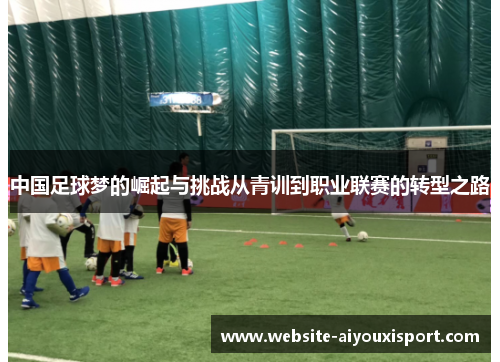 中国足球梦的崛起与挑战从青训到职业联赛的转型之路
