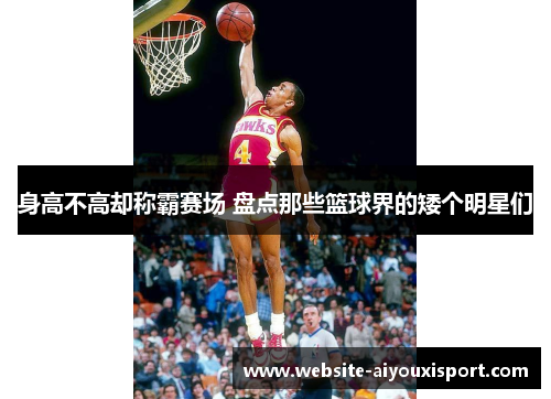 身高不高却称霸赛场 盘点那些篮球界的矮个明星们